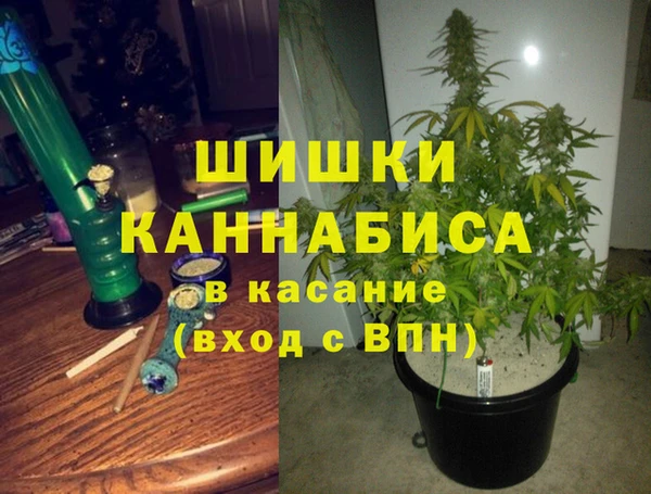 мдпв Навашино