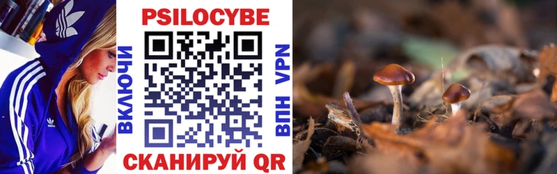 купить наркотики цена  Туран  Галлюциногенные грибы MAGIC MUSHROOMS 